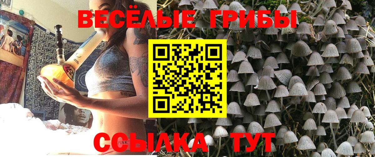 Псилоцибиновые грибы Psilocybe Энгельс