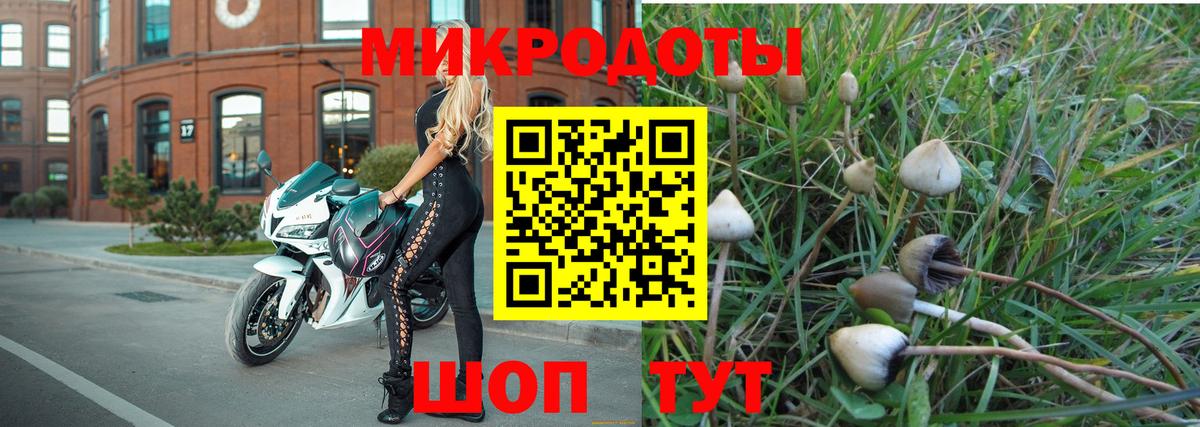Энгельс  наркотики  Вход с VPN  Галлюциногенные грибы мухоморы 